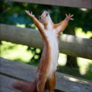 Meet your Posher, Lil